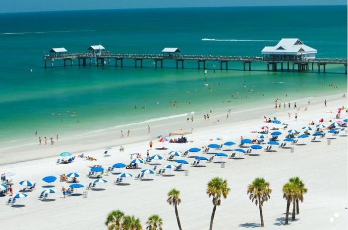 From Orlando: Clearwater Beach and Marine Aquarium Admission - What Makes This Tour Stand Out?