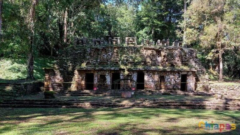From Palenque: Yaxchilán and Bonampak Tour - The Practical Side: What You Need to Know