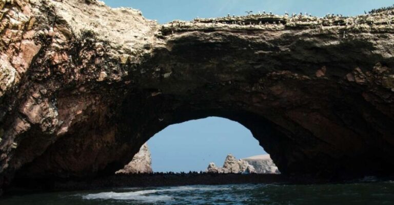 From Paracas: Ballestas Islands tour all Inclusive - The Highlights of the Islands