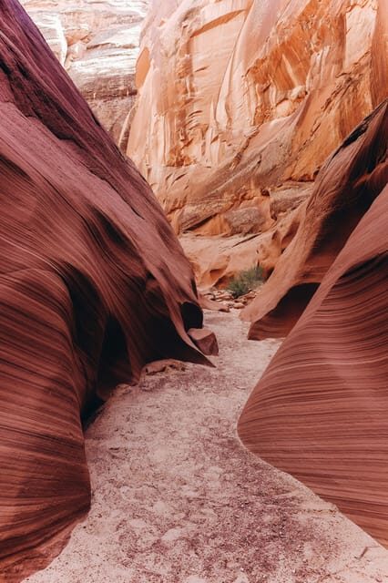 From Phoenix: Antelope Canyon and Horseshoe Bend Day Tour - What Makes This Tour Stand Out