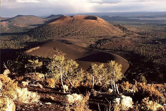 From Phoenix Flagstaff Day Shared Tour - Authentic Experiences and Guide Highlights