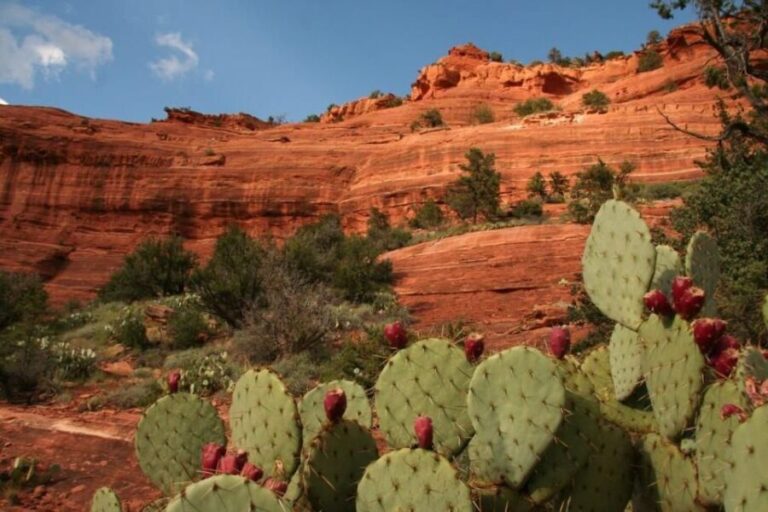 From Phoenix: Full-Day Sedona Small-Group Tour - The Value of This Tour
