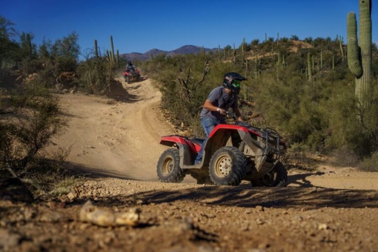 From Phoenix: Sonoran Desert Guided ATV Training - The Sum Up: Who Should Sign Up?