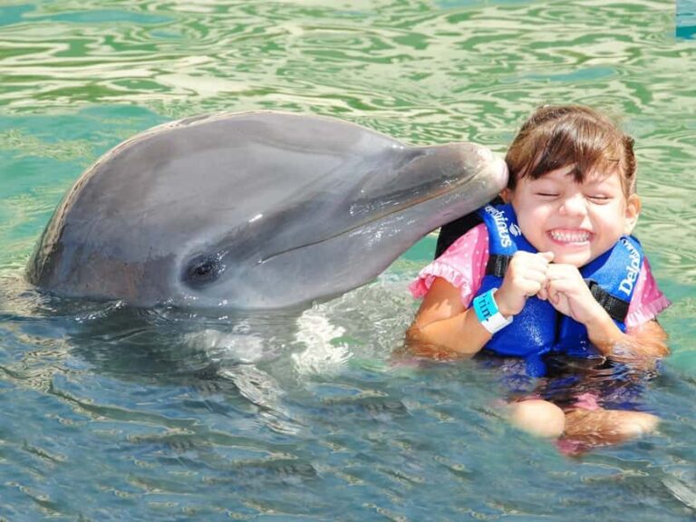 From Playa del Carmen: Complete Combo to Xcaret Park! - How It Compares to Similar Experiences