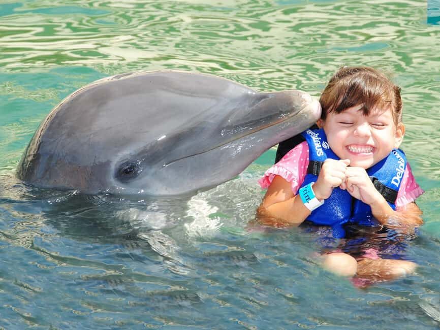 From Playa del Carmen: Complete Combo to Xcaret Park! - How It Compares to Similar Experiences