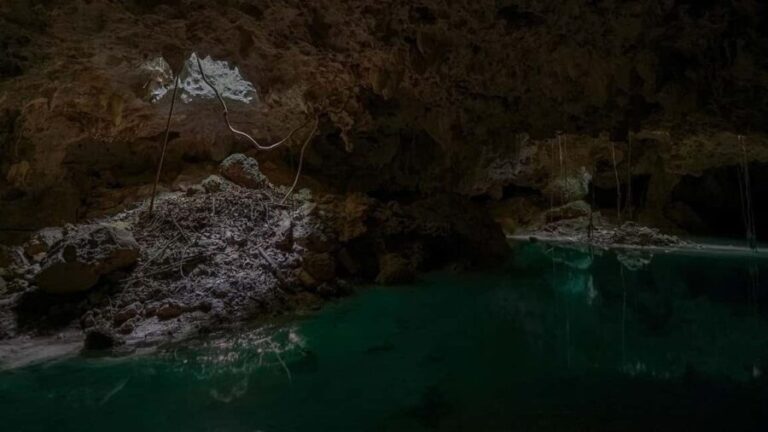 From Playa del Carmen or Tulum: Rio Sagrado Experience - Why This Tour Offers Good Value