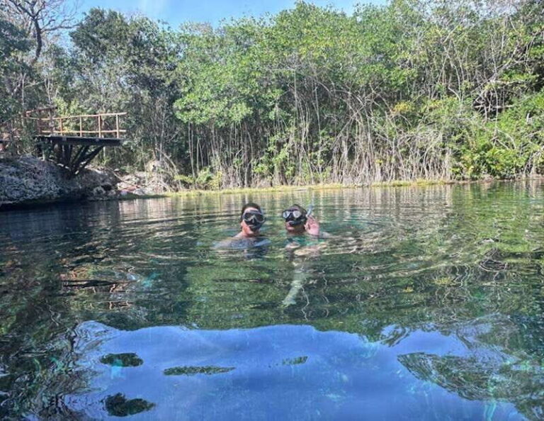 From Playa del Carmen: Tulum Coba and Cenote - Who Is This Tour Best For?