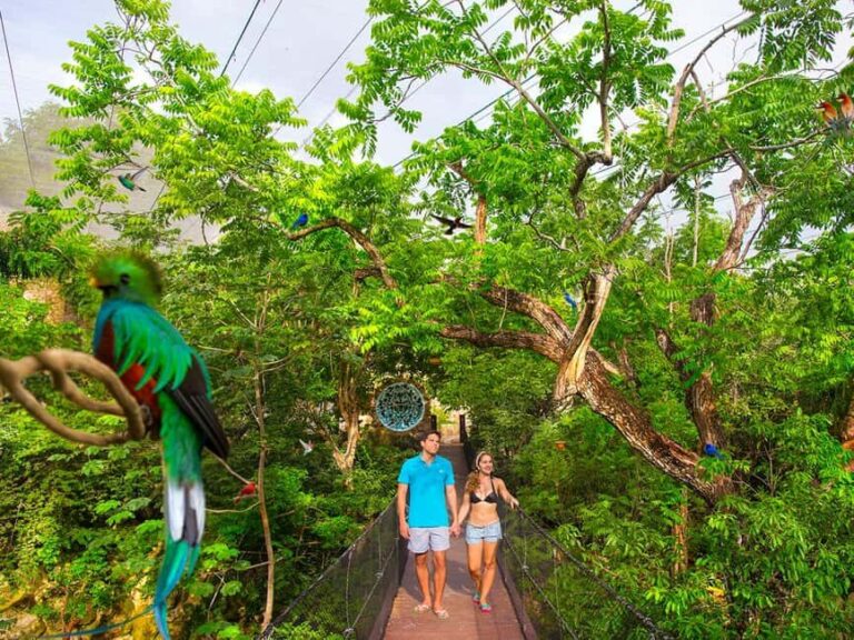 From Playa del Carmen: Xcaret Plus Park, the complete experience - Who Will Love This Tour?
