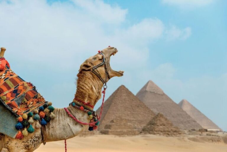 From Port Said: Giza Pyramids Tour & Nile River Lunch Cruise - What Makes This Tour Stand Out?