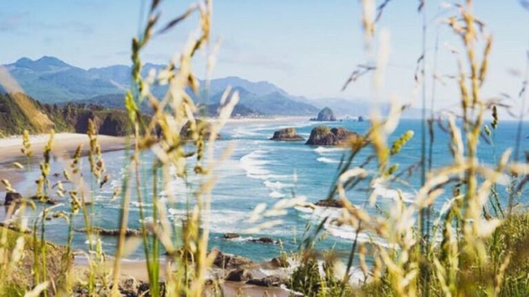 From Portland: Oregon Coast Tour - What’s Included & What to Consider
