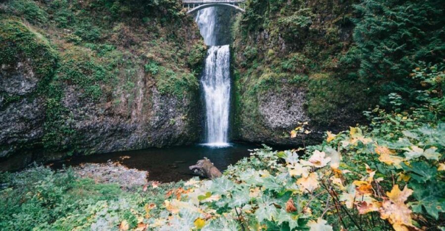 From Portland: Waterfalls, Mt Hood, and Wine Day Tour - The Columbia River Wine Region: A Hidden Gem
