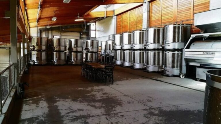 From Portland: Willamette Valley Full-Day Wine Tour - The Practicalities: What You Need to Know