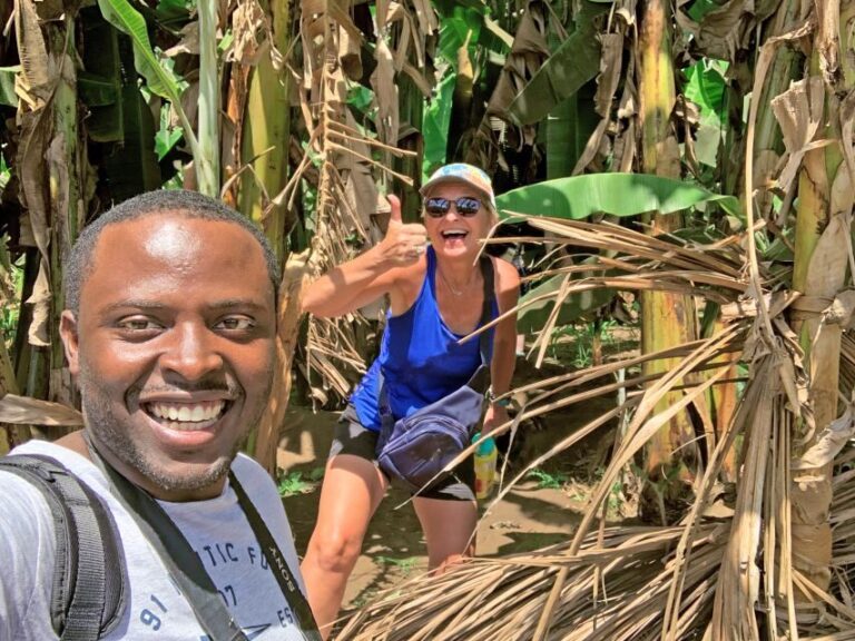 From Praia: Banana Plantation Tour and Cuscuz Workshop - What’s Included and Practical Considerations