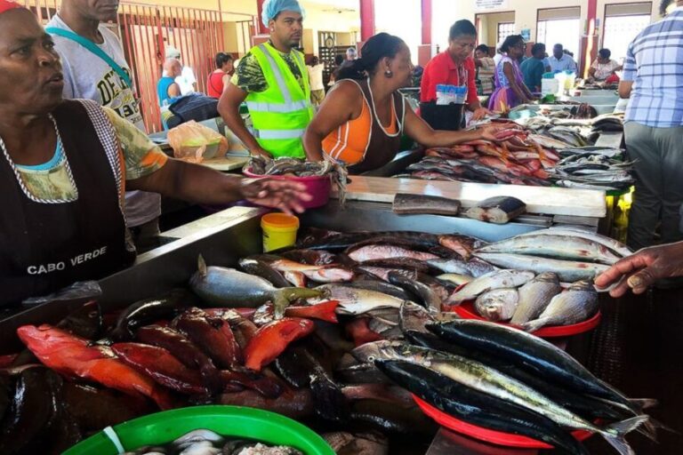 From Praia: Full-Day São Vicente Island Tour - Deepening the Experience: Whats Included and What to Consider