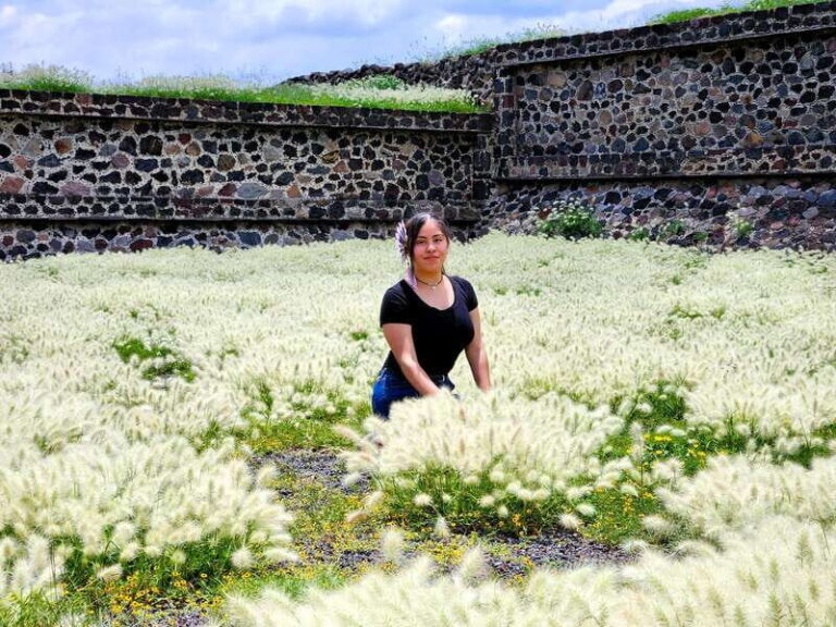 From Puebla: TEOTIHUACAN PRIVATE TOUR - Analyzing the Value and Practicality