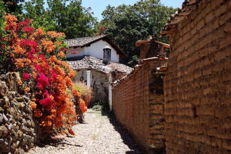 From Puerto Vallarta: Full-Day Tour to San Sebastian - The Practicals: Price, Duration, and Logistics