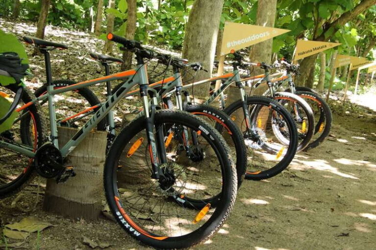 From Puerto Vallarta: Jungle Mountain Bike Tour - Why This Tour Works Well