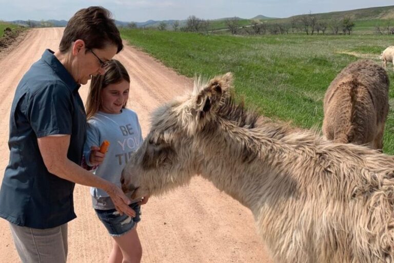 From Rapid City: Custer State Park Private Safari and Hiking - Practical Details and Value