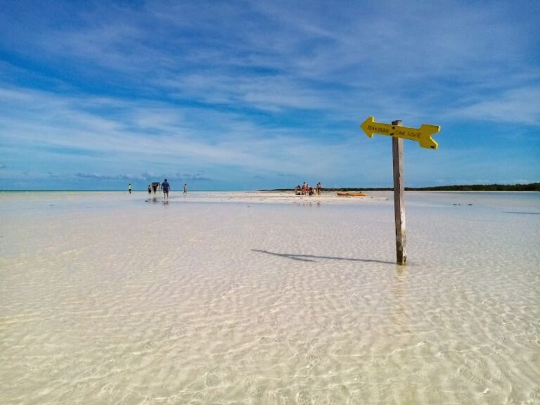 From Riviera Maya: Holbox Full-Day Tour with Lunch - What To Expect on This Full-Day Adventure