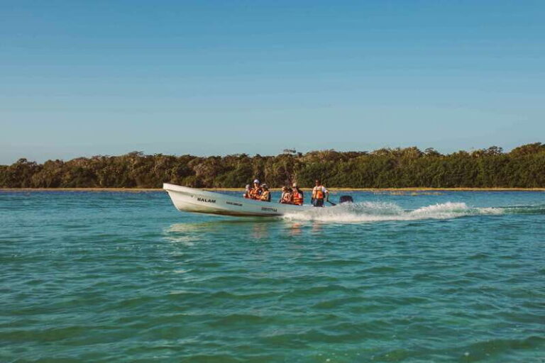 From Riviera Maya: Sian Ka'an Half Day Tour w/ Lunch - The Breakdown: What Makes This Tour Stand Out