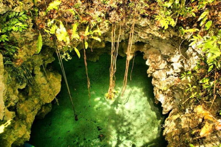 From Riviera Maya: Snorkeling & Private Cenote Half-Day Tour - An In-Depth Look at the Tour Experience