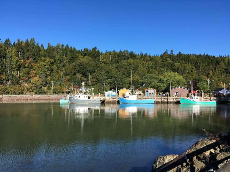 From Saint John: Bay of Fundy Bus Trip for Cruise Passengers