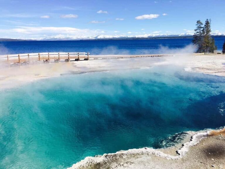 From Salt Lake City: 7-Day Yellowstone and Las Vegas Tour - Day 3: Yellowstone’s Natural Marvels