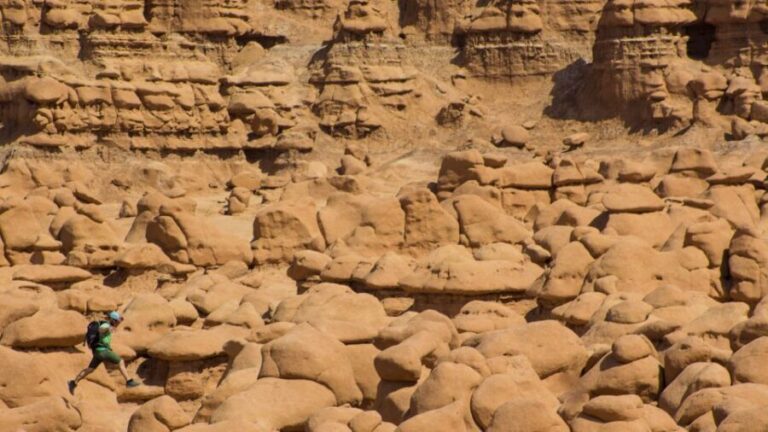 From Salt Lake City: Private Goblin Valley State Park Tour - The Practicalities and What to Expect