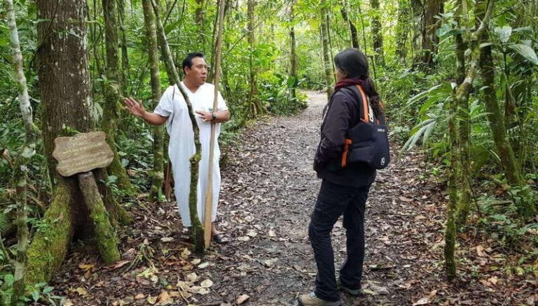 From San Cristóbal: Lacandona Jungle 3 Days Tour - Day 2: Jungle Archaeology and River Adventures