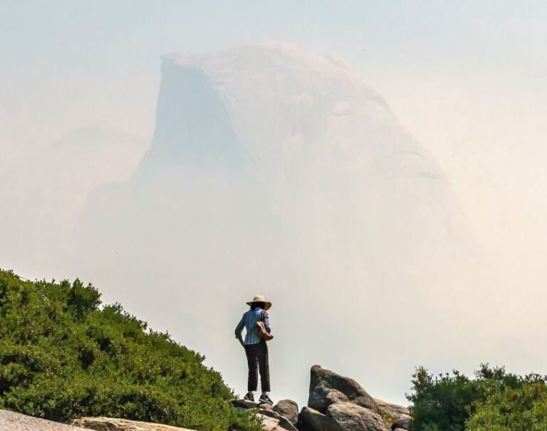 From San Francisco: Day Trip to Yosemite National Park - Why This Tour Works (or Doesn’t)