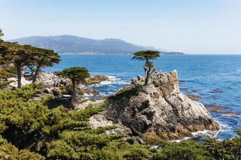 From San Francisco: Monterey and Carmel Day Tour - Transport and Guides: Comfort and Knowledge