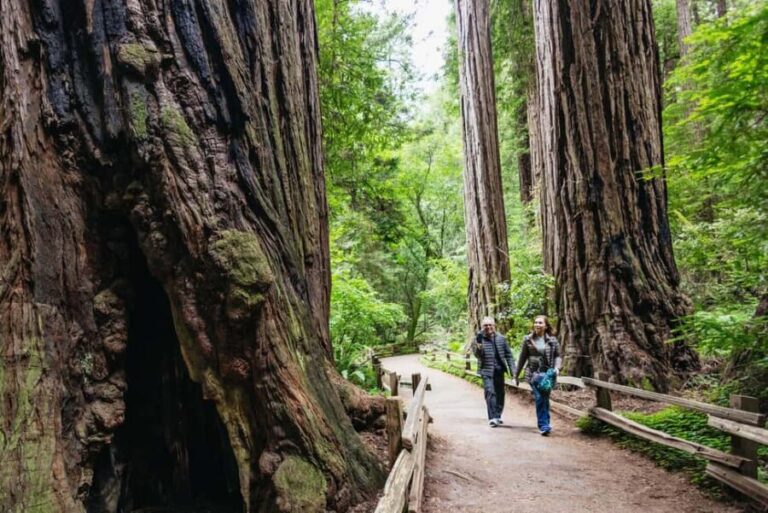 From San Francisco: Muir Woods, Sausalito and Alcatraz Tour - How Well Does It Deliver on Its Promise?