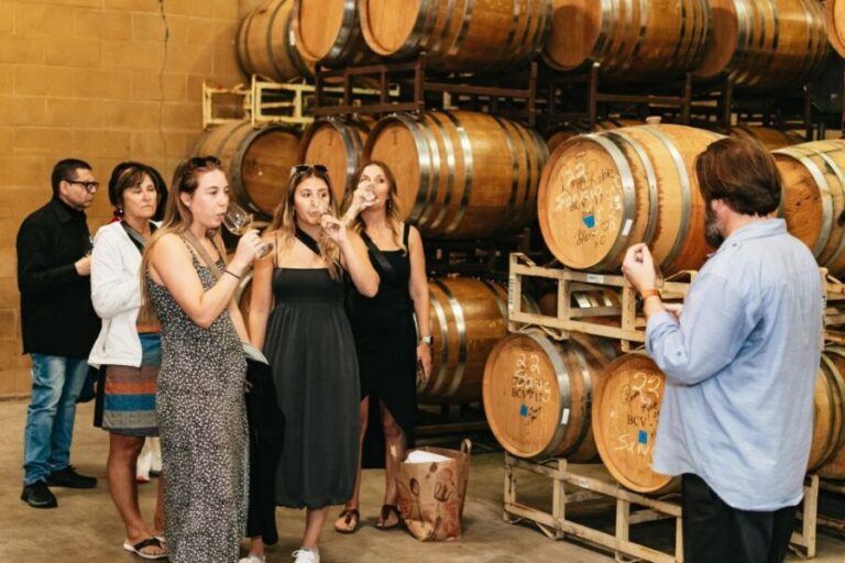 From San Francisco: Napa & Sonoma Valley Full-Day Wine Tour - Authentic Experience & Traveler Feedback