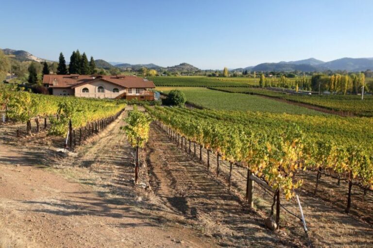 From San Francisco: Napa Valley Private Tour - The Wineries: A Taste of California’s Best