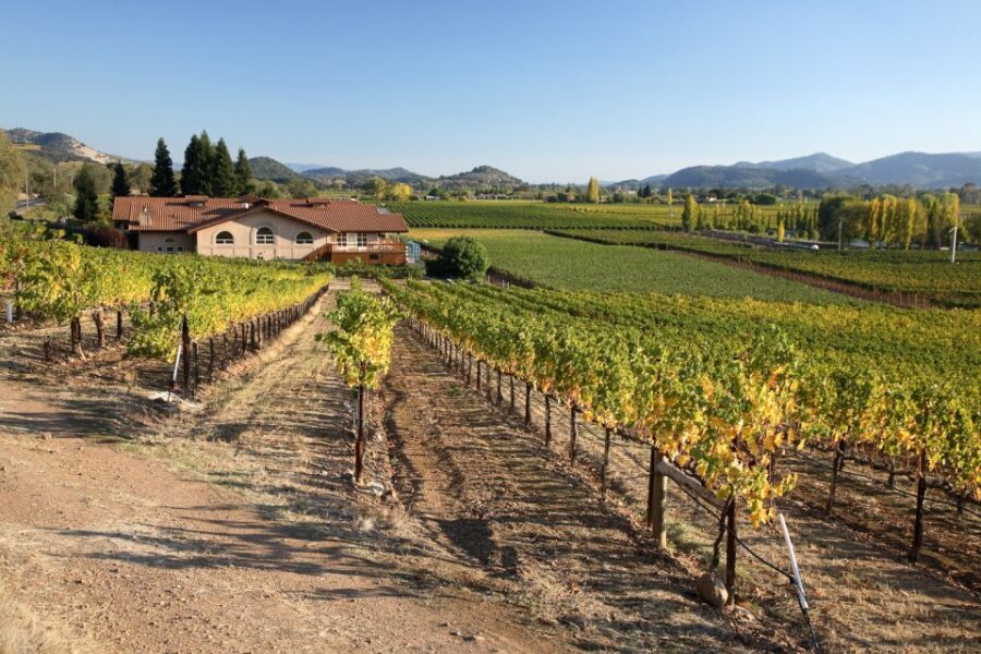 From San Francisco: Napa Valley Private Tour - The Wineries: A Taste of California’s Best