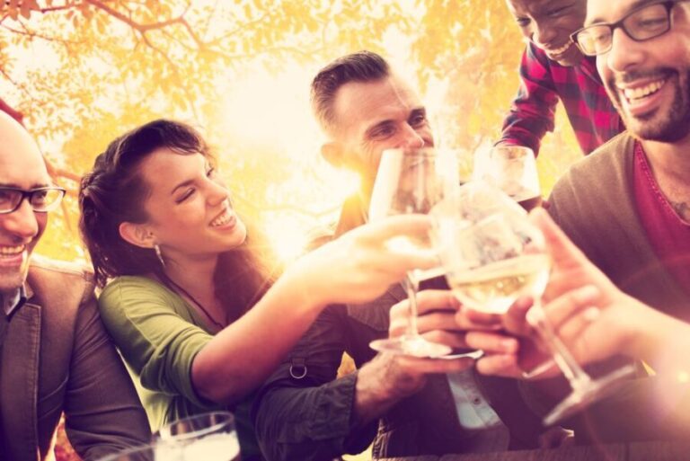 From San Francisco: Napa Valley & Sonoma Private Wine Tour - What to Expect from the Experience