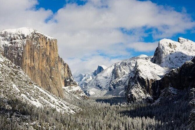 From San Jose-Private Full Day Yosemite National Park Tour - Detailed Breakdown of the Itinerary