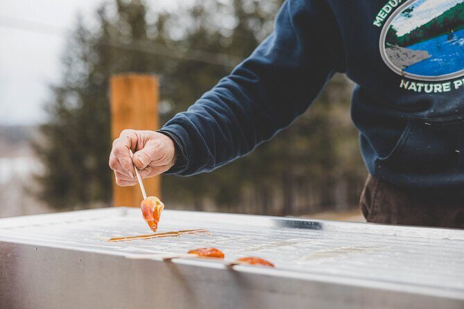 From Sap to Syrup: A Tasty Guided Maple Production Tour - Practical Details: What to Expect