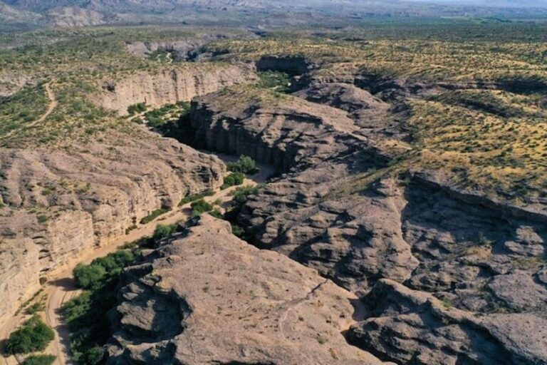 From Scottsdale: Sonoran Desert & Tonto National Forest Trip - The Details that Matter