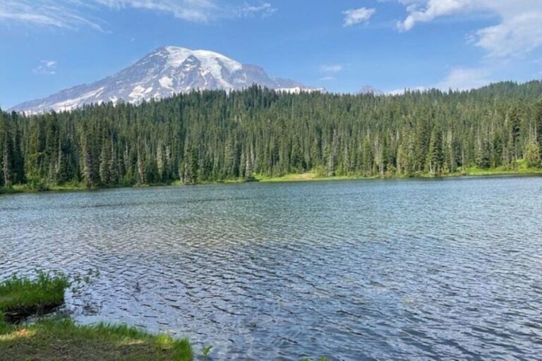 From Seattle: Full-Day Mt Rainier National Park Tour - The Practicalities: Transportation, Cost, and Group Size