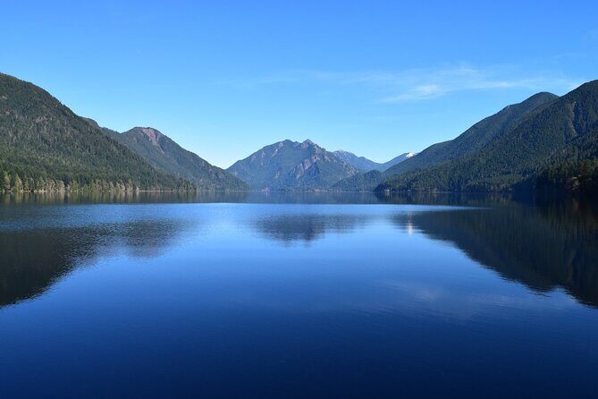 From Seattle Hoh rain forest and Olympic National Park Highlight - What’s Included and What You Should Plan For