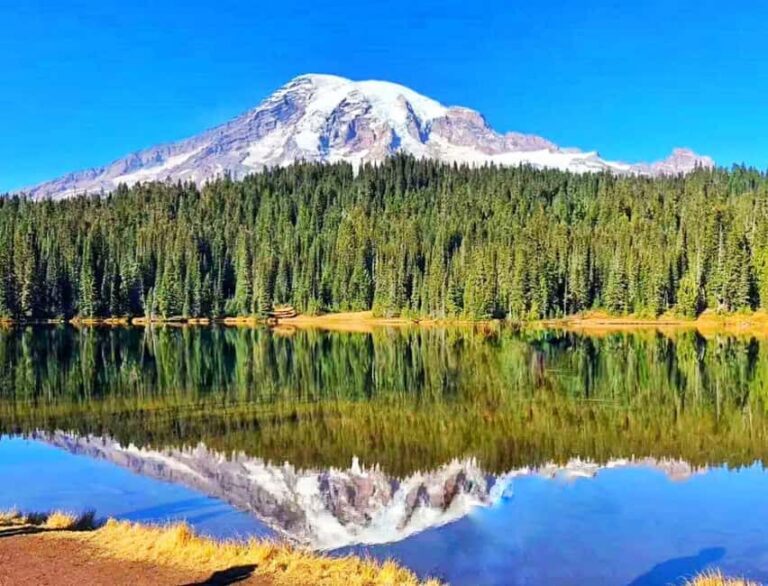 From Seattle: Mount Rainier Guided Day Tour - Key Points