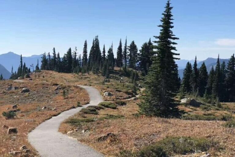 From Seattle: Mount Rainier National Park 1-Day Tour - A Deep Dive Into the Itinerary