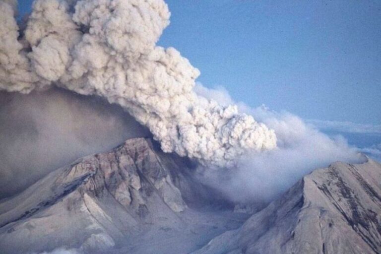 From Seattle: Mt Saint Helen Tour - What You Can Expect During the Day