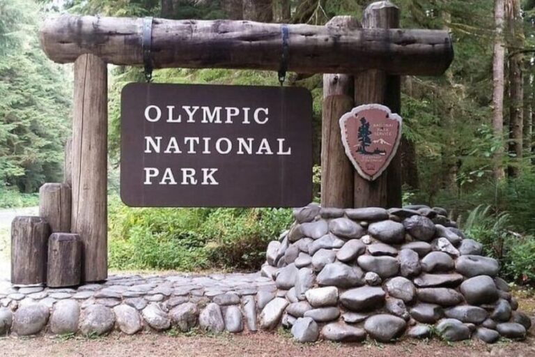 From Seattle: Olympic National Park Full Day Tour - Who Will Love This Tour?