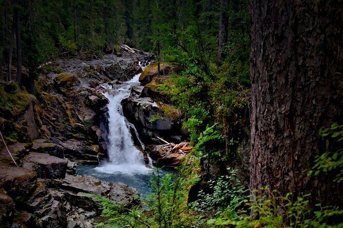 From Seattle: Private Tour to Mt. Rainier - Practical Details and What It Means for You