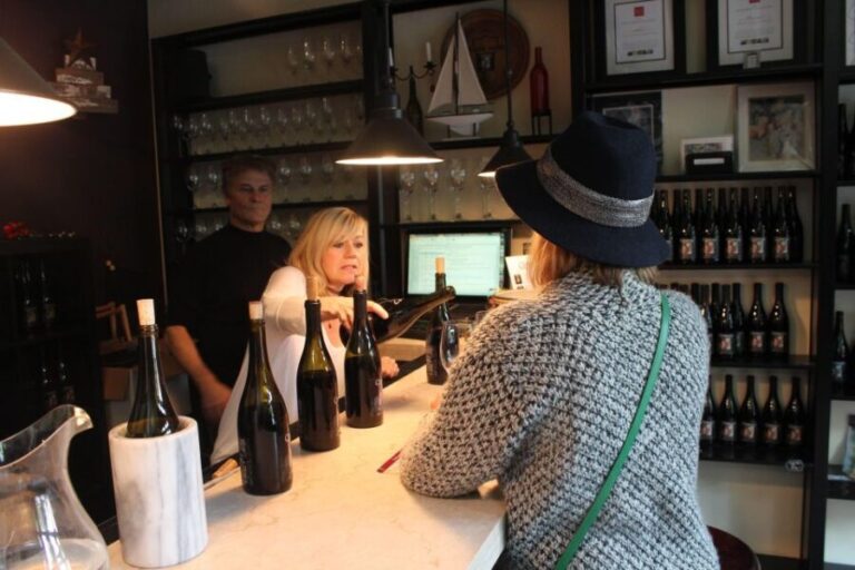 From Seattle: Snoqualmie Falls & Woodinville Wine Tasting - Who Should Consider This Tour?