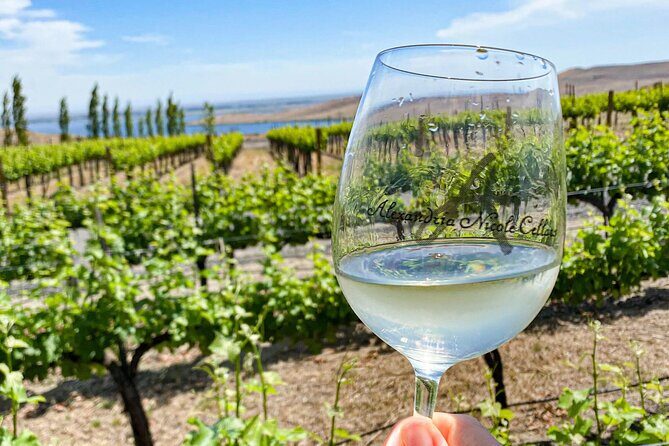 From Seattle Wine Tasting, Vineyards in Eastern WA - The Practicalities and Value