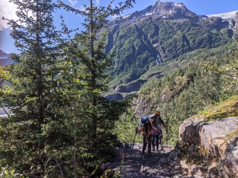 From Seward: 6-hour Wilderness Hiking Tour - The Sum Up