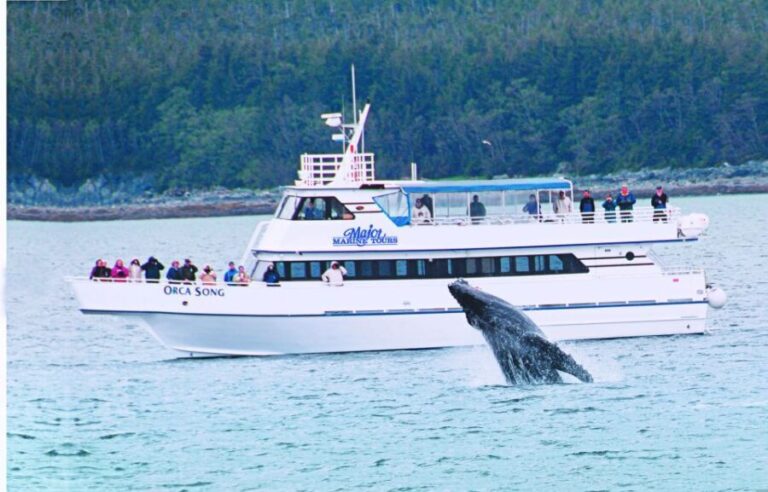 From Seward: Half-Day Resurrection Bay Wildlife Cruise Tour - The Value Proposition